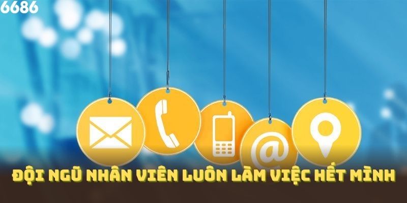 Đội ngũ nhân viên chăm sóc khách hàng luôn làm việc hết mình